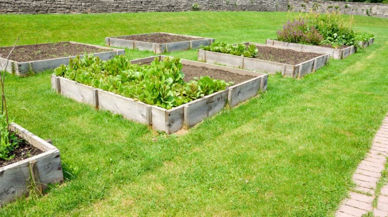 119 Green-Thumb Approved Raised Garden Bed Ideas with Pictures