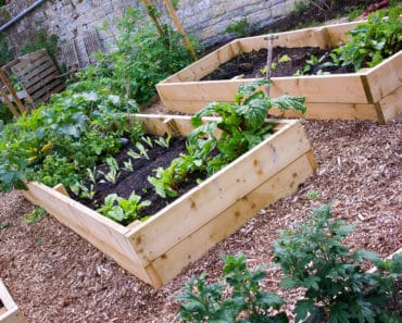 119 Green-Thumb Approved Raised Garden Bed Ideas with Pictures